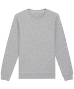 Roller unisex crew neck sweatshirt (STSU868)