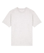 Freestyler relaxed heavy t-shirt (STTU788)