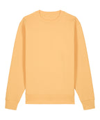 Unisex Changer 2.0 iconic crew neck sweatshirt (STSU178)