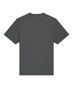 Unisex Sparker 2.0 heavy t-shirt (STTU171)