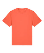 Unisex Sparker 2.0 heavy t-shirt (STTU171)