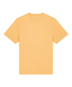 Unisex Sparker 2.0 heavy t-shirt (STTU171)
