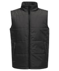 Regatta Access Insulated Bodywarmer