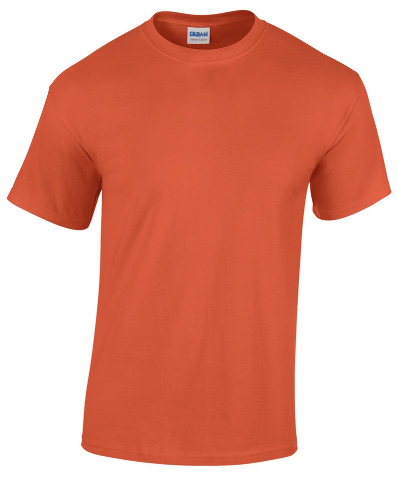Heavy CottonÃƒÂ¢Ã¢â‚¬Å¾Ã‚Â¢ adult t-shirt