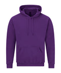 Gildan Softstyle Midweight Fleece Adult Hoodie