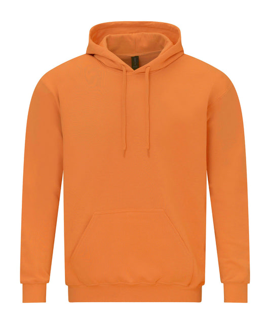 SoftstyleÃƒÂ¢Ã¢â‚¬Å¾Ã‚Â¢ midweight fleece adult hoodie