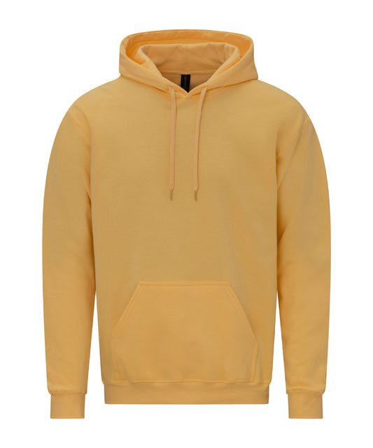 SoftstyleÃƒÂ¢Ã¢â‚¬Å¾Ã‚Â¢ midweight fleece adult hoodie