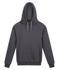 Regatta Pro Overhead Hoodie